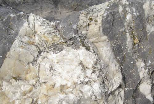 Steinerne Vielfalt neben der Kalkgrube.