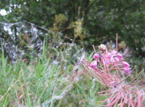 Hier kommt das alles her.