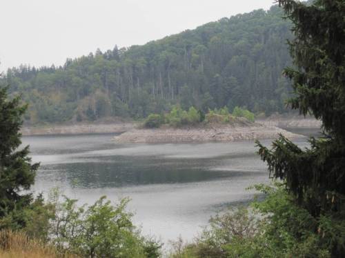 Rappbodeinsel, tiefer Wasserstand Talsperre
