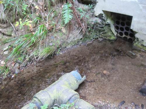 Gras beachten - mit dem gefassten Quellwasser pfeift Wind aus dem Berg