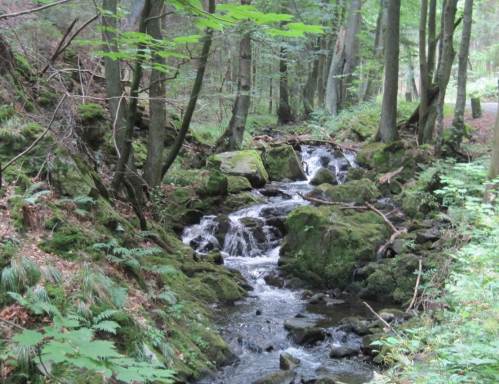 Wasserfall am Zillierbach