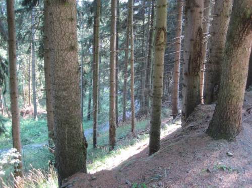 Hangblick - da unten waren wir eben noch