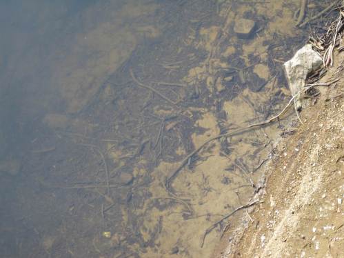 glasklares Wasser, bereit für Trinkwasseraufbereitung