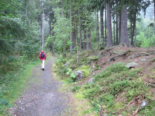 Kleine Renne, wieder bergan
