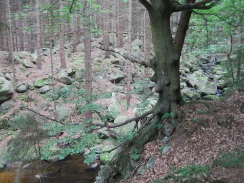 Große Felsbrocken an kleinem Bach, unten links ein größeres Strudelloch.