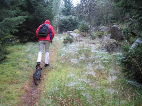 Lurchi-Wetter, Nass-Netze, HeiSo bergan