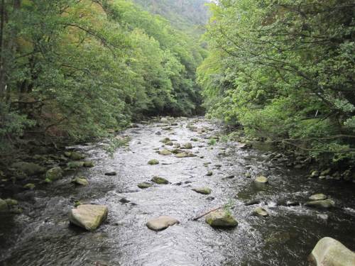 Bodetal, wildromantisch wie beschrieben