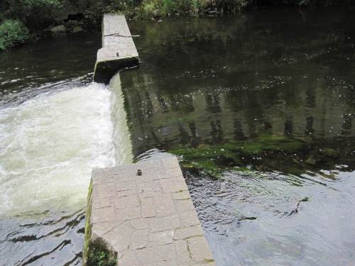 kein Fischpass an diesem Wehr zu sehen