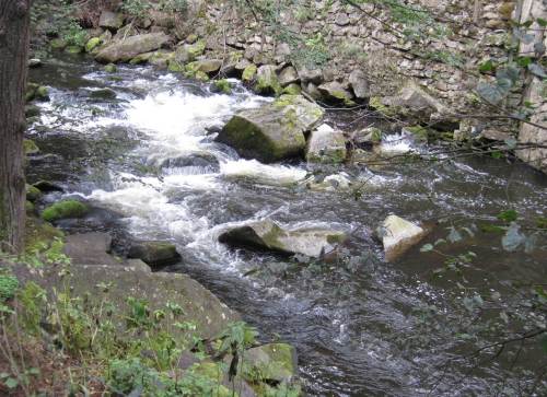 Eine Stromschnelle folgt auf die andere - dazwischen Strudellöcher und tiefe Rinnen. Kundige sehen Fische.