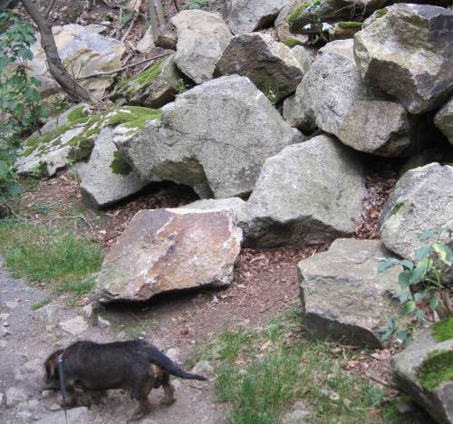 Felssturz, Socke tastet sich voran