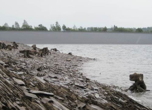 Baumstubben nahe Staudamm