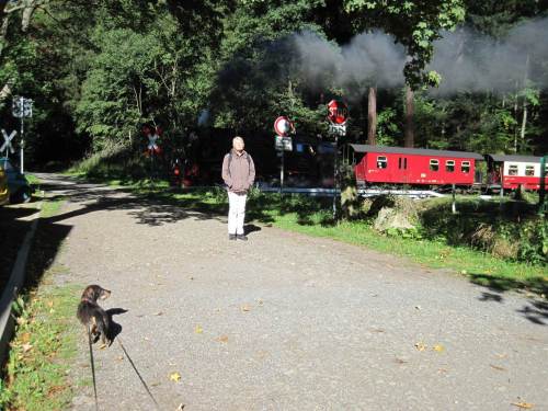 Steinerne Renne-Start, Dreck-Lok