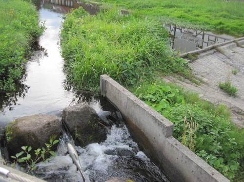 H 5, Aluforelle, NNW - Gleitwehr trocken