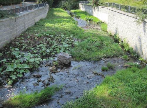 Zillierbach voll besonnt, gemäht