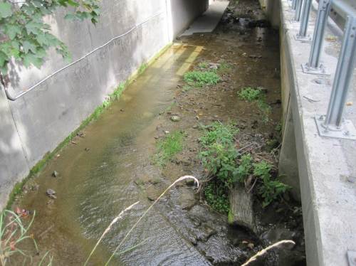 Rübeland, noch kein instream