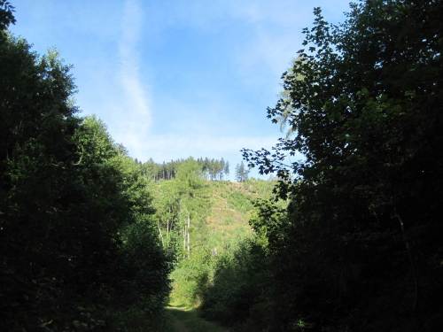 Goslarsche Gleie, da hoch bei Hitze, das glaub ich nicht