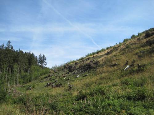 schon wieder höher, die Kämme kommen ins Blickfeld