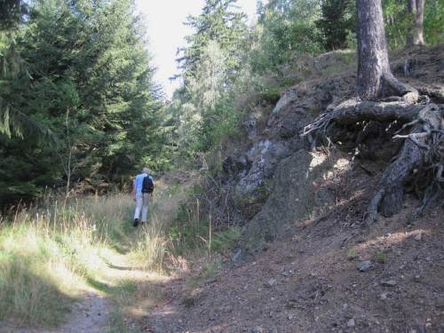 zum Teil fast schluchtig - angenehme Frische in schattigen Bereichen