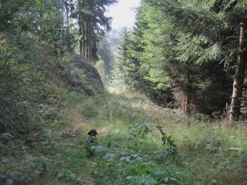 wieder bergab, angenehm feucht-kühl nach Direktbestrahlung