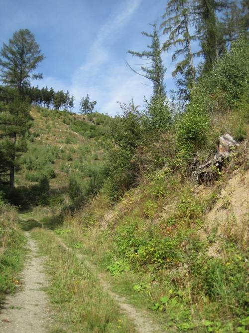 fast wieder unten - wir waren tatsächlich da oben