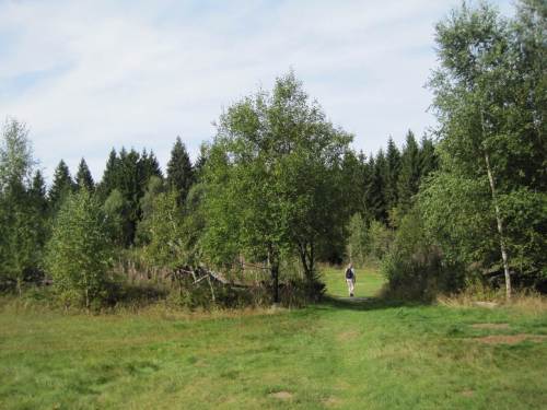  in den Ring der Erinnerung bereits eingetreten