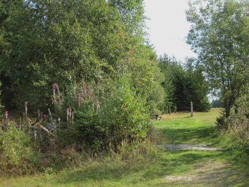 Blick aus dem Ring über FLORA