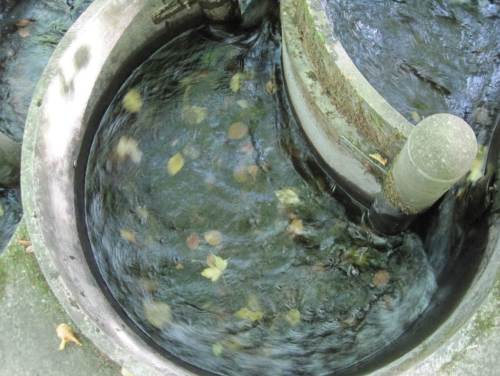 H 2, Strömungsstudie, Blätter im Mäanderfischpass