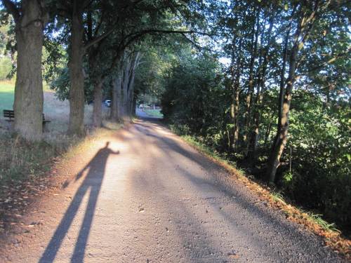 langer Frühherbstschatten am Morgen