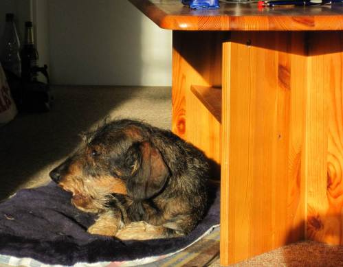 Abschiedsmorgen, urlaubserholter Sonnen-Socke