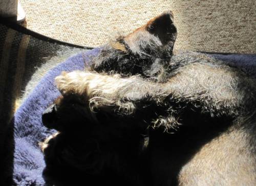  im Gegenlicht, putzen vor der Abfahrt