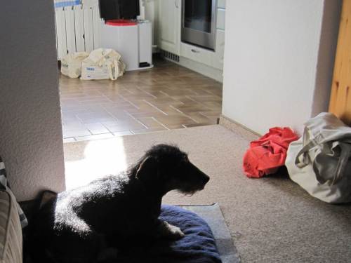 bin schick, alles ist gepackt - kann losgehen