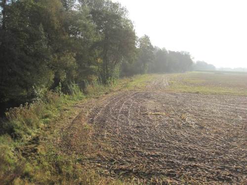 Seeve unter Hörstener Brücke, Acker bis über Kante