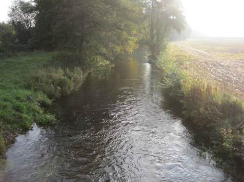 Seeve unter Hörstener Brücke, Acker bis über Kante