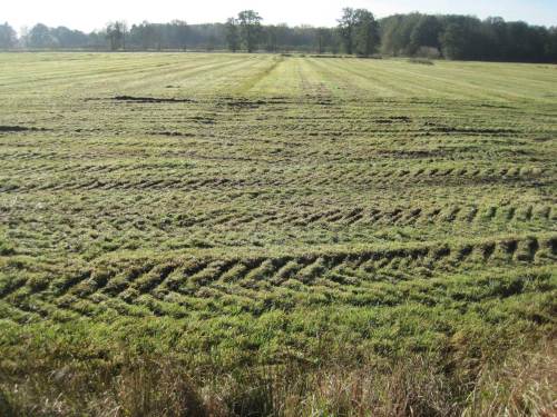IMG_6276 - Agrarspuren Ovq, schlagkräftige Bodenverdichtung bei Silagegewinnung im November