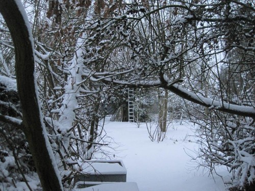 10 cm sind es wohl geworden, wie der Wilder-Garten-Aspekt zeigt. - Wie gut, dass Sonntag ist.
