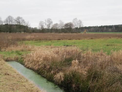 Wir dürfen gespannt sein, wie es hier im anmoorigen Umfeld des NSG Obere Wümmeniederung demnächst aussieht. - Nach Neuausbau eines Quergrabens haben in der rauen Fläche seit einem Jahr Brennesseln die Mädesüßfluren weitgehend ersetzt - Stickstofffreisetzung durch Bodenentwässerung und -belüftung anzeigend.