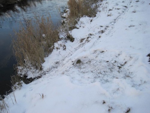 Sitzplatz, Rutsche ins Wasser, nach hinten aus dem Foto Fußspur-Autobahn - wer war das?!