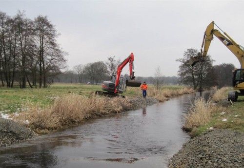 Abwärts wird gerade ein Laichbett angelegt. Das wird im nächsten Beitrag in ein paar Tagen beschrieben.