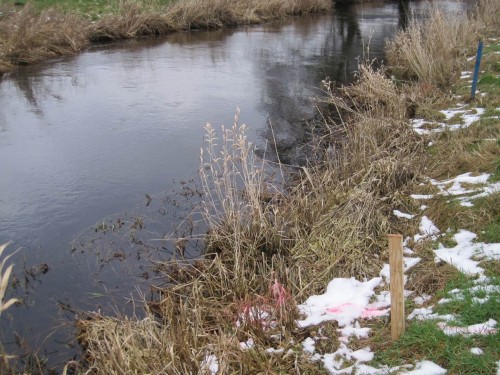 Praxiserprobte Baumenschen haben die Sprühkennzeichnungen auf Schnee längst durch die gute, alte Holzkennzeichnung ergänzt.