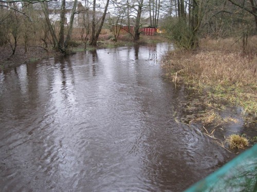 Auf der Anfahrt - bei Holm fliesst die Seeve bordvoll.