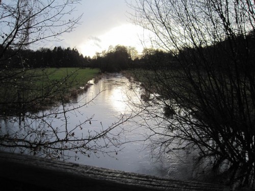 Das heutige Abflussbild - bordvoll kommt die Seeve angeflossen - wie sieht es in der Restaurierungsstrecke aus?