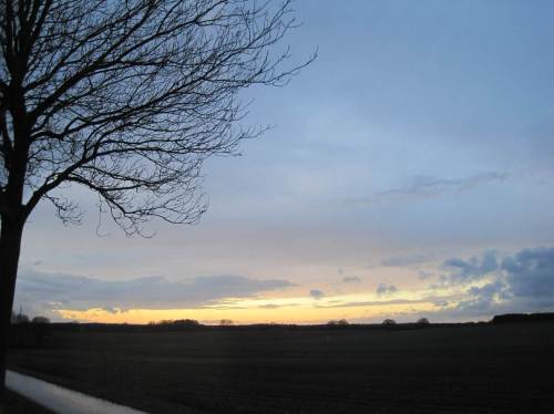 Und zum Schluss reitet der einsame (?) Cowboy mit seinen 90 Pferden gen offenen Abendhimmel. - Es soll wieder kälter werden.