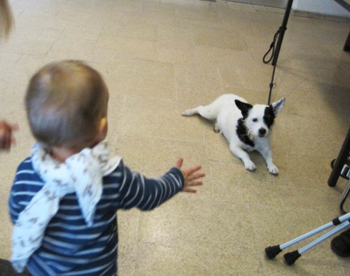 2 kleine Hochzeitsgäste.