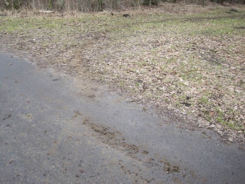 Hier also kommt die Güllerei her.