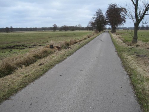 Östlich der Wiesenausfahrt jedenfalls ist der Teerweg sauber.