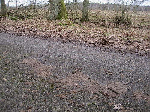 Manchmal kommt es richtig dicke ...