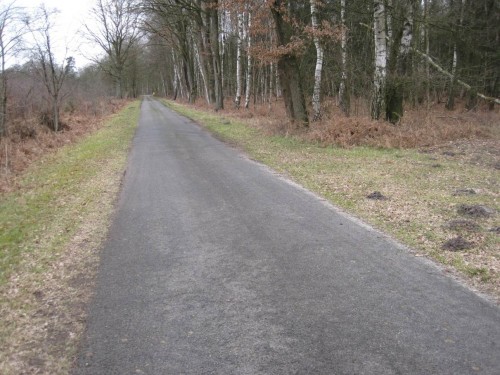... (Rückweg) ... und über 250 m westlich der Ausfahrt hört das flächenhafte Gesudel denn auch endlich auf.
