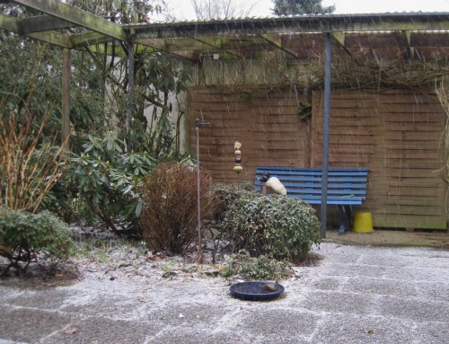 Die Terrasse wird Eis-weiss.