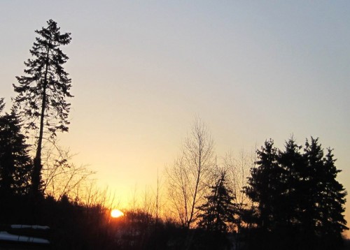 Wir hatten -11,4 Grad Celsius. Für Niedersachsen soll es die kälteste Nacht jemals im März gewesen sein.