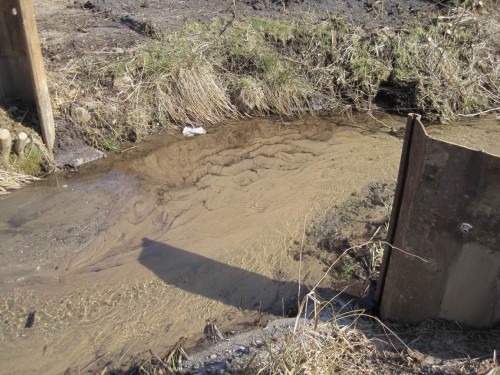 Es muss viel passiern, Forellenlaichbach adé.